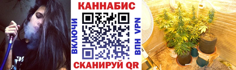 магазин    Судогда  Конопля MAZAR 